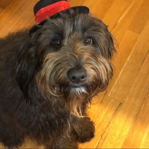 Meet your Posher, Hope